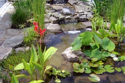 Planted small pond1JPG