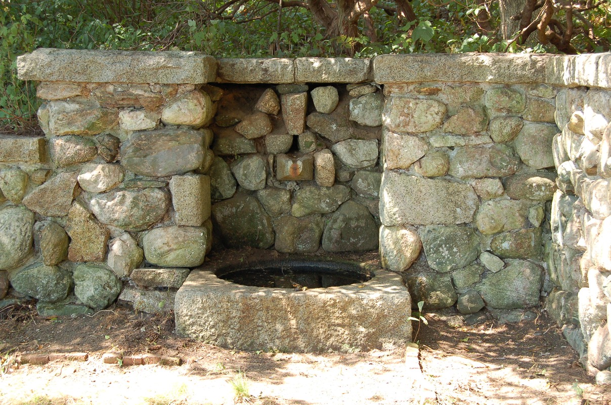 DSC 0036