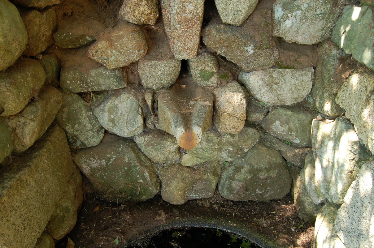 DSC 0038