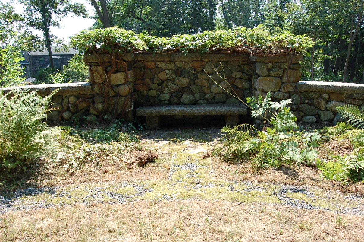 DSC 0049