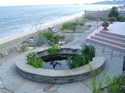 Koi pond in Swampscott, MA