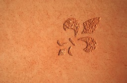 Tadelakt with sgraffiato 